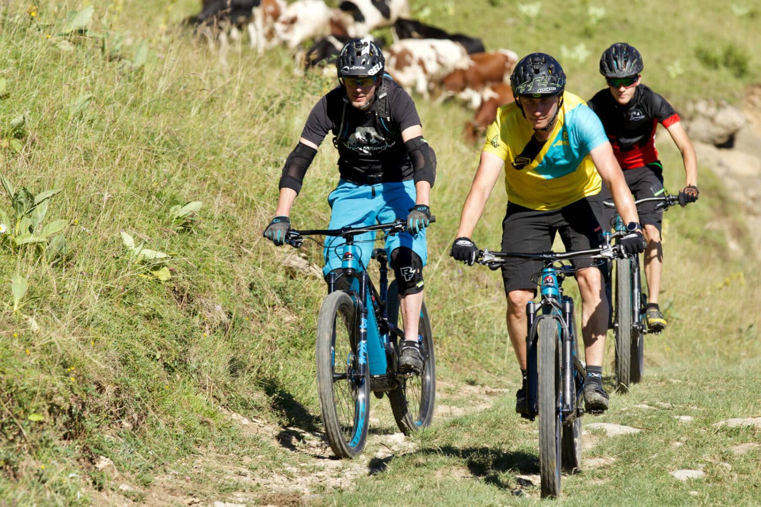 Alpine bike (SuisseMobile n°1)
