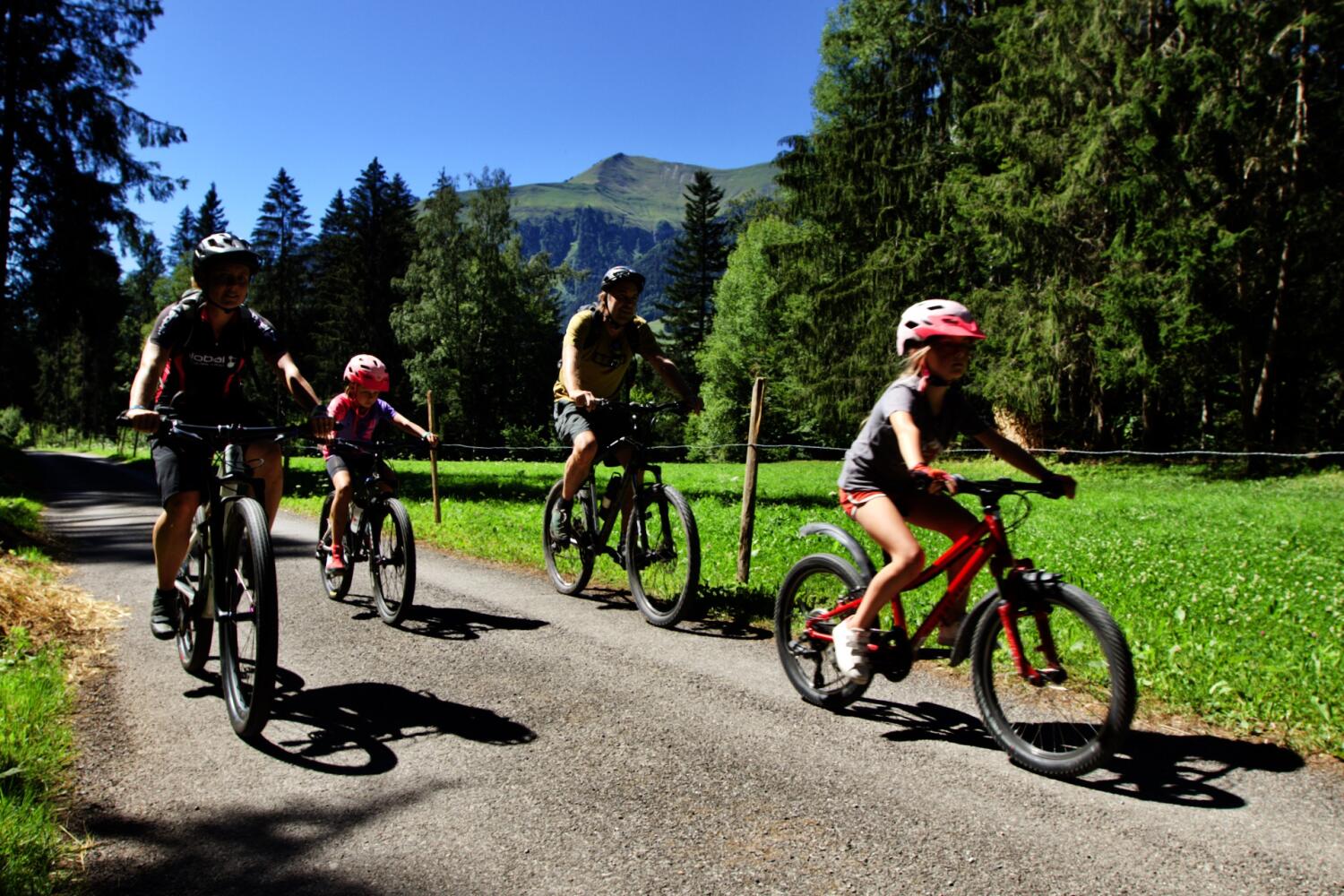 Family cross country
