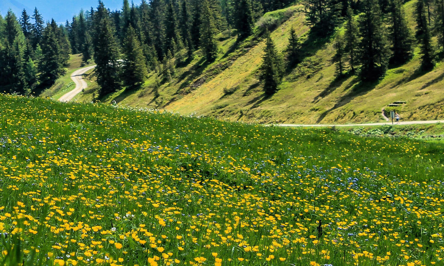 Mittelberg, hidden beauty