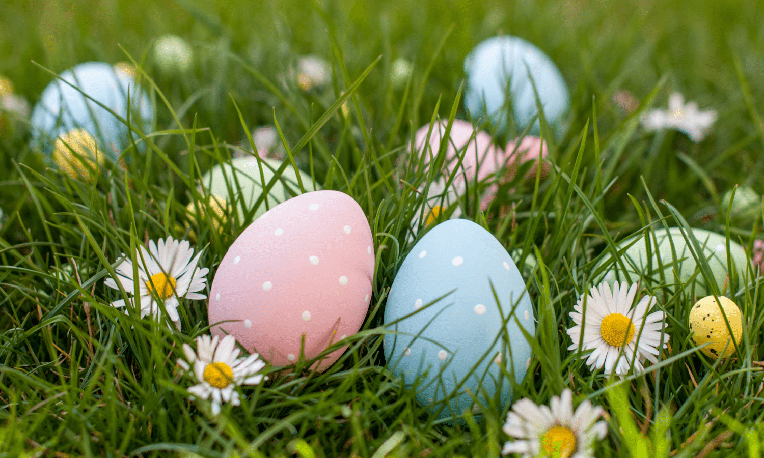 Chasse aux œufs de Pâques à Château-d'Œx