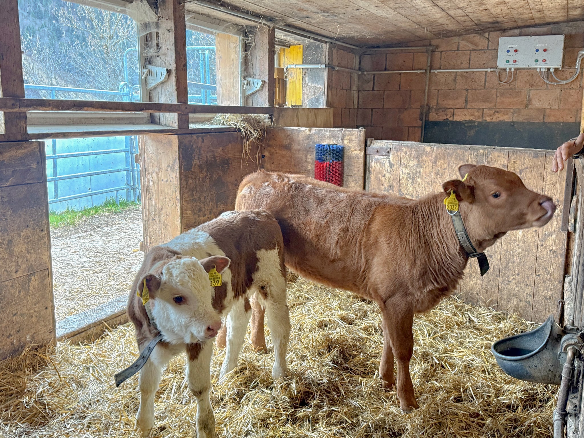 Découverte et activités à la ferme Treilocrêt
